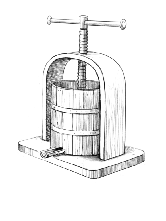 Сырье для производства сока и пюре